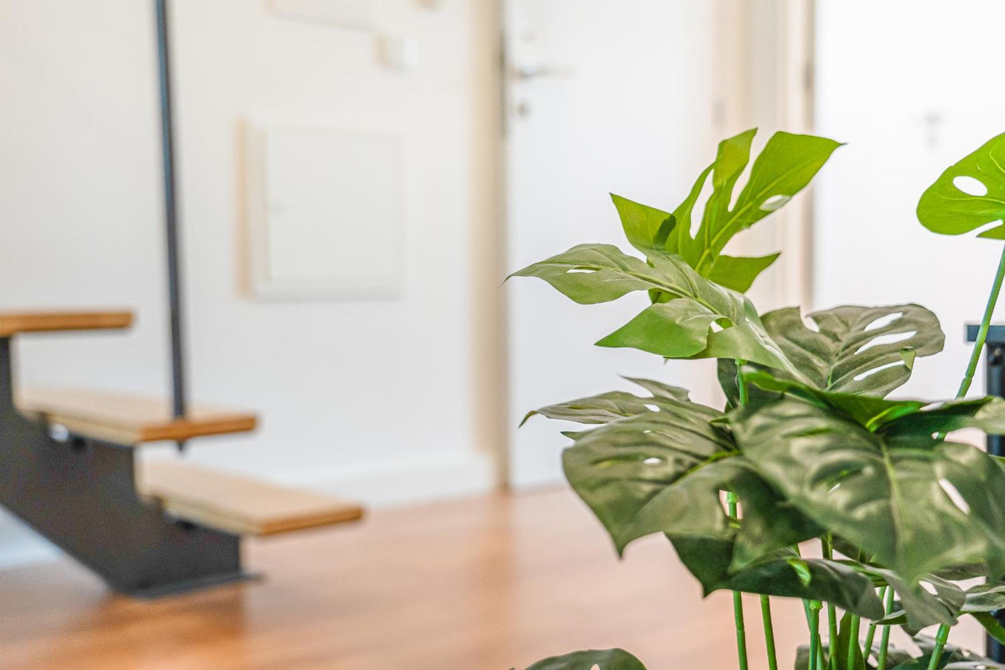 Ajuda Deluxe Apartments Lisboa Ngoại thất bức ảnh